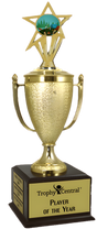 Camping Champion's Cup Trophy with Insert