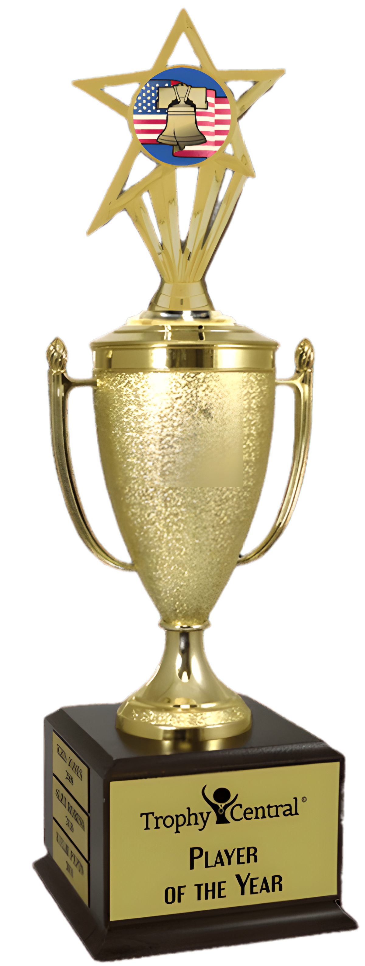Citizenship Champion's Cup Trophy with Insert