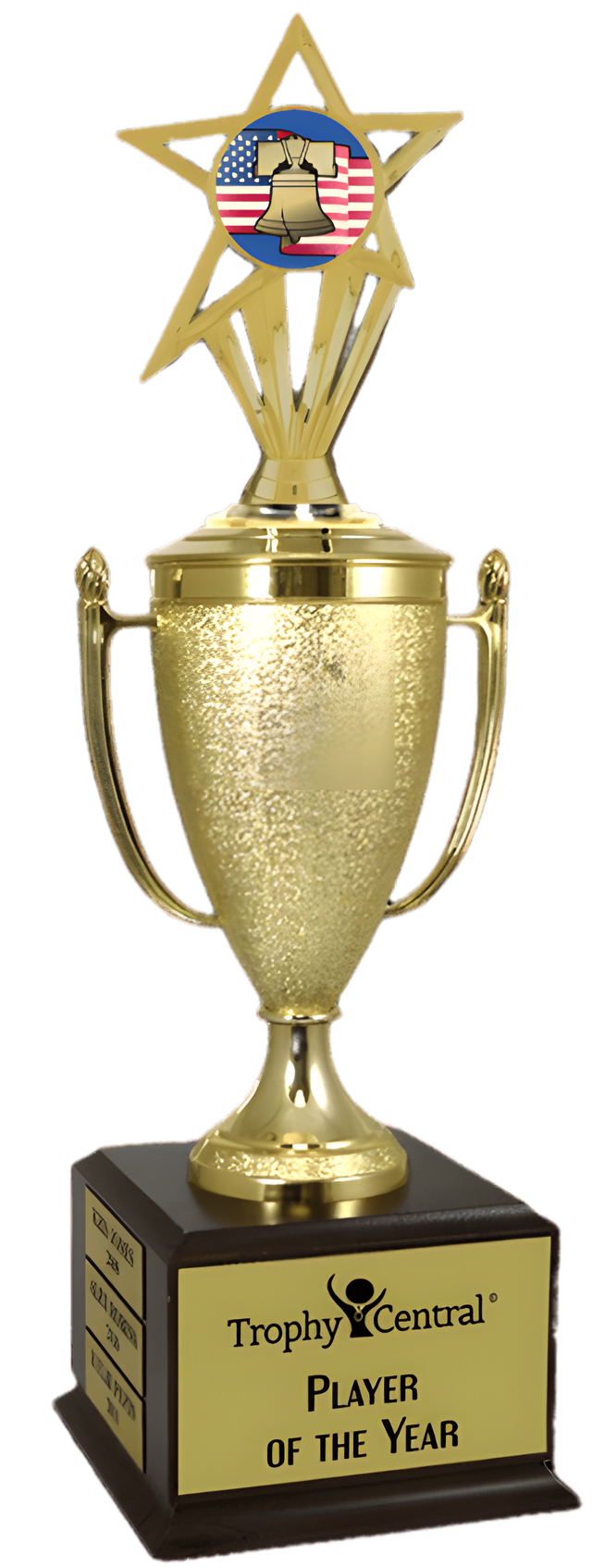 Citizenship Champion's Cup Trophy with Insert