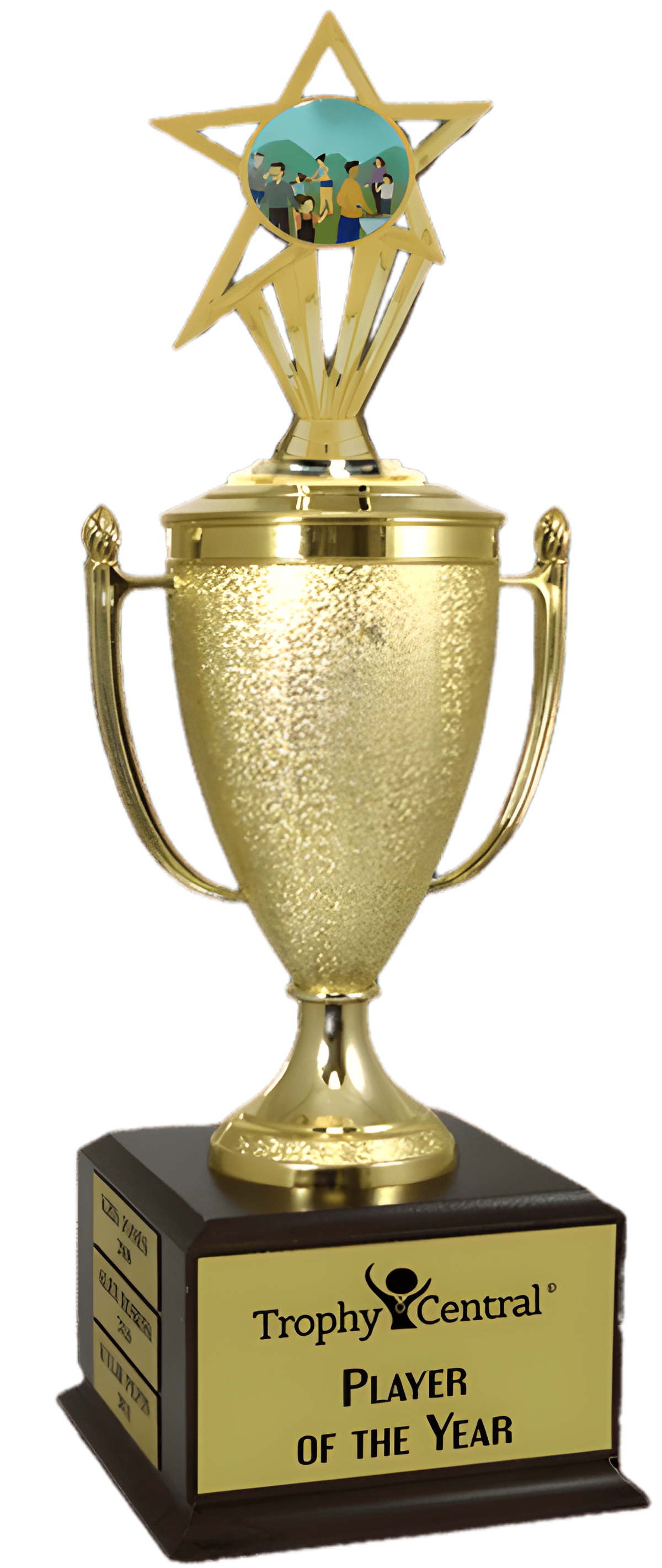Family Reunion Champion's Cup Trophy with Insert