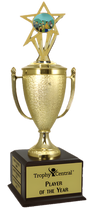 Family Reunion Champion's Cup Trophy with Insert