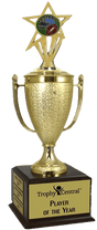 Football Champion's Cup Trophy with Insert