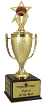 Graduation Champion's Cup Trophy with Insert