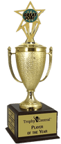 Great Job Champion's Cup Trophy with Insert