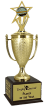 Gymnastics Champion's Cup Trophy with Insert