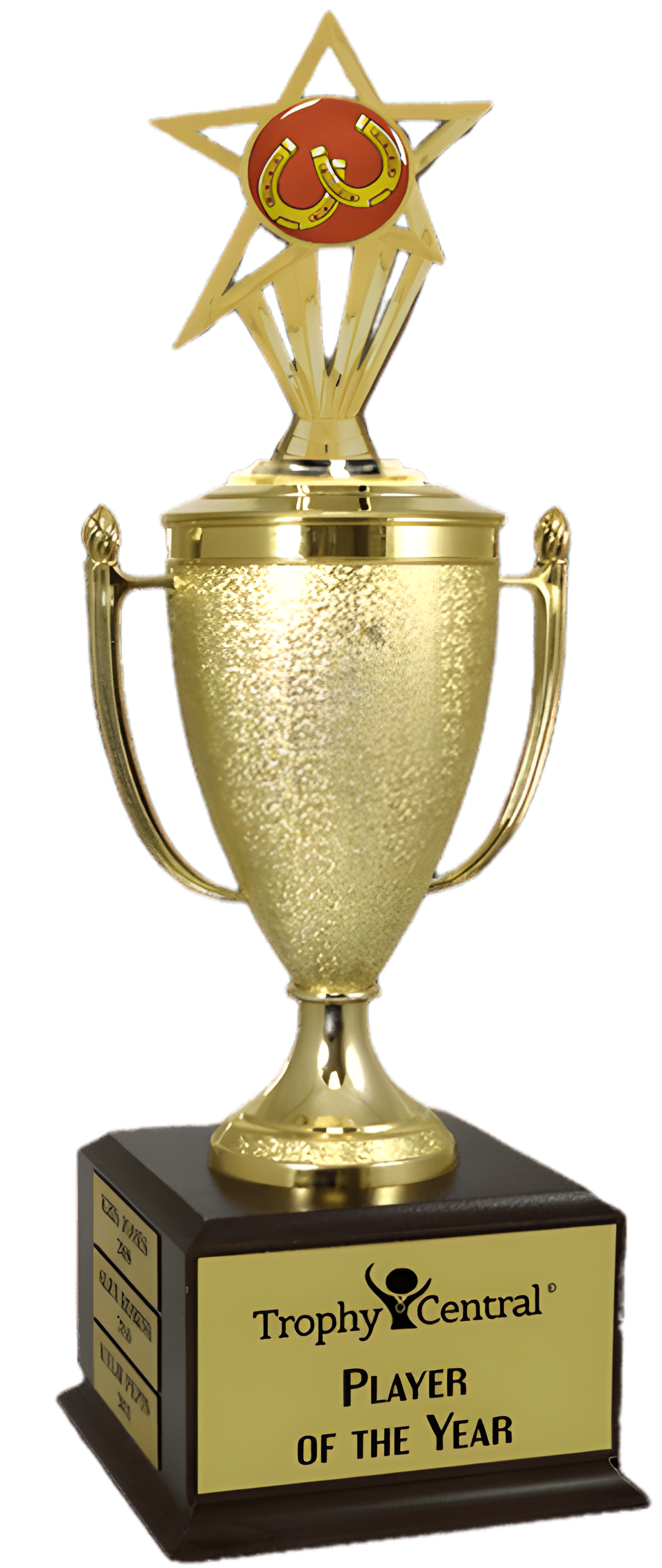 Horseshoes Champion's Cup Trophy with Insert