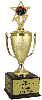 Karate Champion's Cup Trophy with Insert