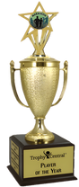 Marathon Champion's Cup Trophy with Insert