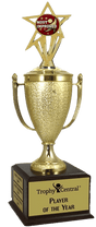 Most Improved Champion's Cup Trophy with Insert