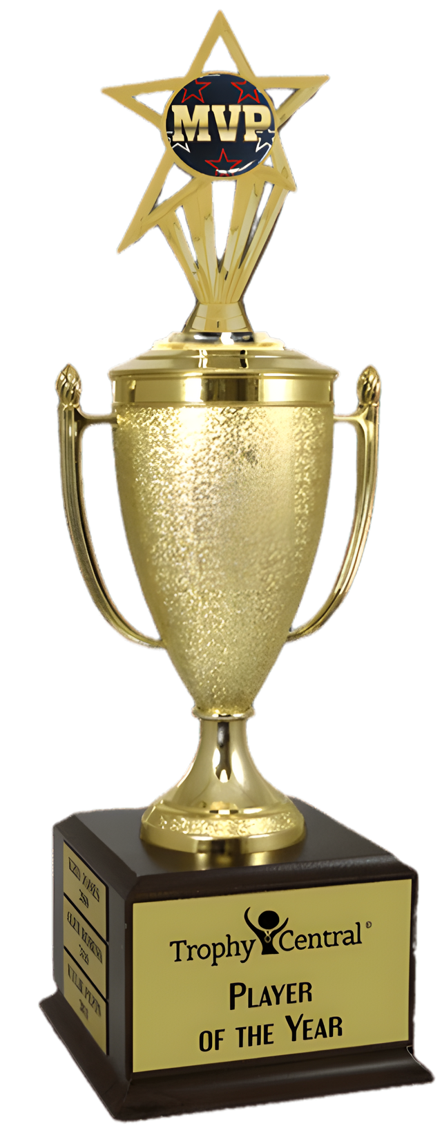 MVP Champion's Cup Trophy with Insert