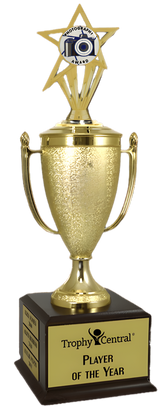 Photography Champion's Cup Trophy with Insert