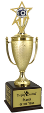 Photography Champion's Cup Trophy with Insert