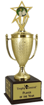 Pickleball Champion's Cup Trophy with Insert
