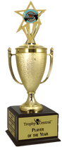 Pistol Shooting Champion's Cup Trophy with Insert