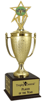 Racing Champion's Cup Trophy with Insert