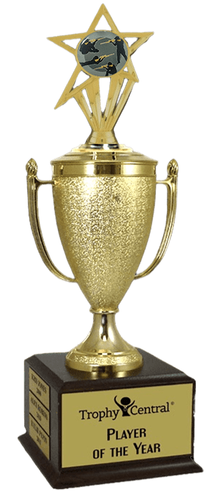 Rifle Shooting Champion's Cup Trophy with Insert