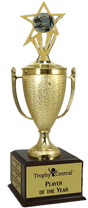 Rifle Shooting Champion's Cup Trophy with Insert