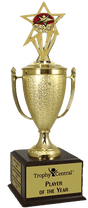 Rising Star Champion's Cup Trophy with Insert
