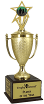 Running Champion's Cup Trophy with Insert