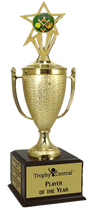 Softball Champion's Cup Trophy with Insert