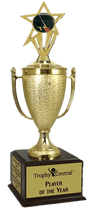 Table Tennis Champion's Cup Trophy with Insert