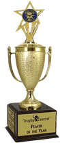 Volunteer Champion's Cup Trophy with Insert