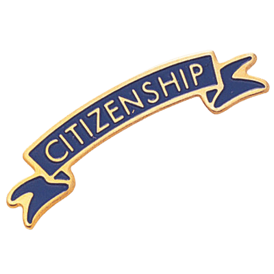 Chenille Citizenship Pin