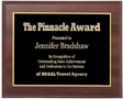 9" x 7" Cherry Award Plaque