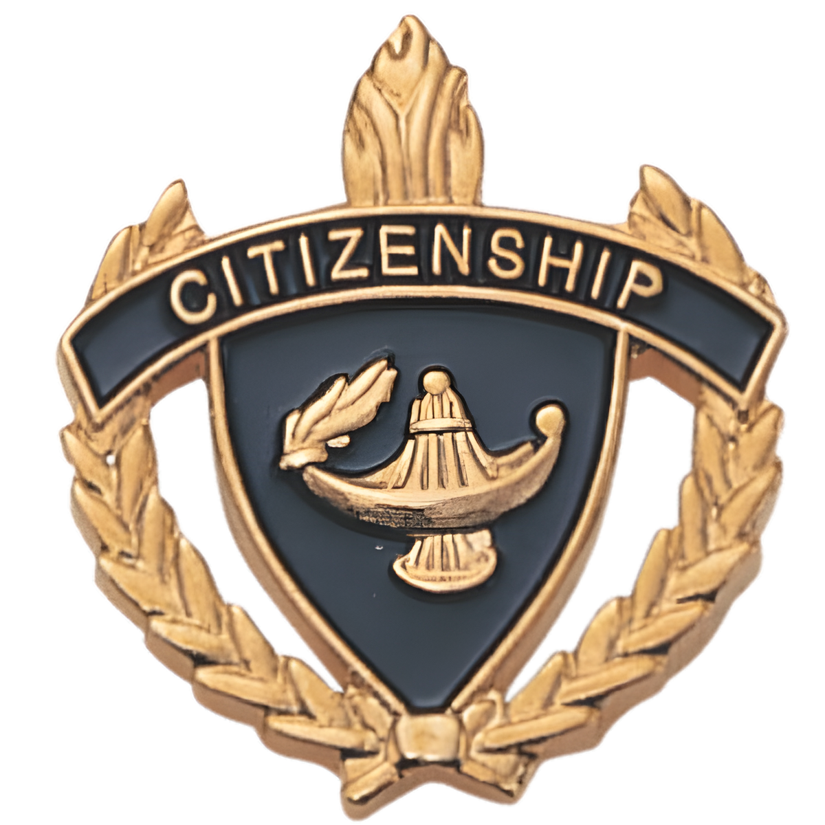 HP Series Citizenship Pin