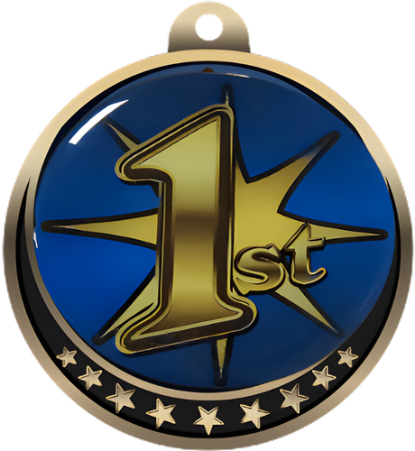 1st Place Insert Medal