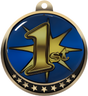 1st Place Insert Medal