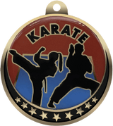 Karate Insert Medal