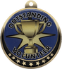 Volunteer Insert Medal