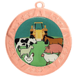 County Fair Bronze Medal