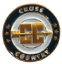 Cross Country Gold Enamel Lapel Pin