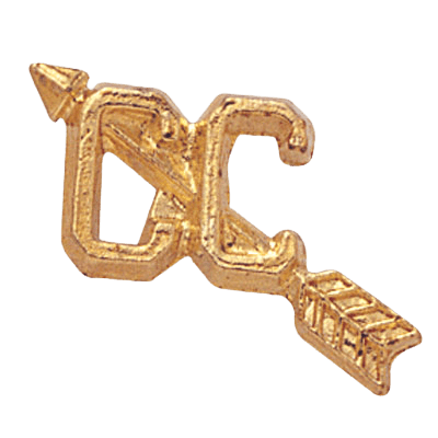 Gold Cross Country Pin