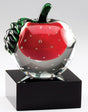 Crystal Apple Teaching Award