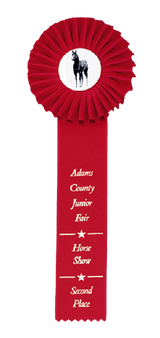 Custom Single Streamer Rosette Ribbon