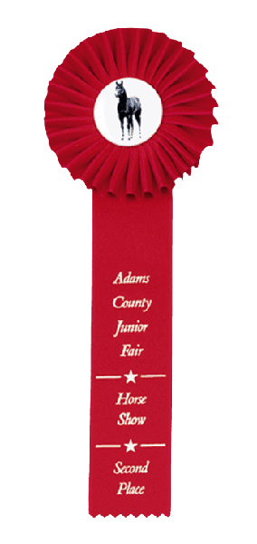Custom Single Streamer Rosette Ribbon