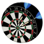 Darts 2" Epoxy Insert