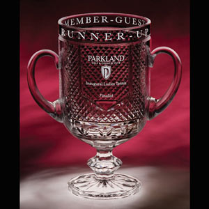 Diamond Championship Cup Awards