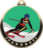Downhill Skiing Insert Medal