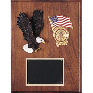 Eagle & Flag Plaque