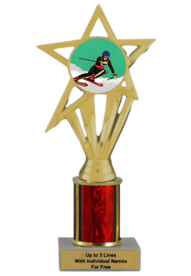 Budget Downhill Skiing Column Insert Trophy