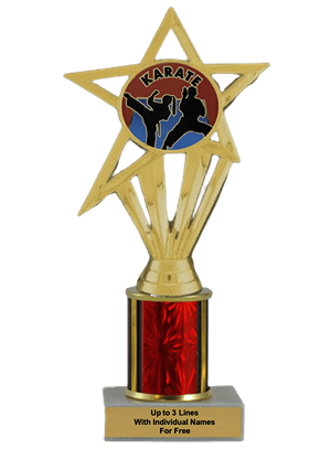 Budget Karate Column Insert Trophy