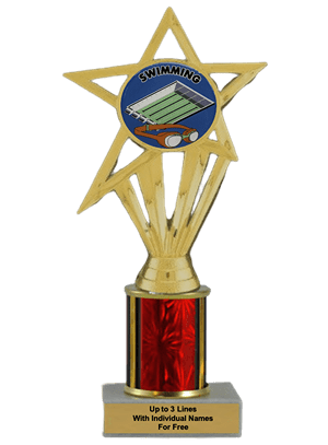 Budget Swimming Column Insert Trophy