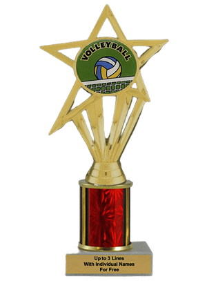 Budget Volleyball Column Insert Trophy