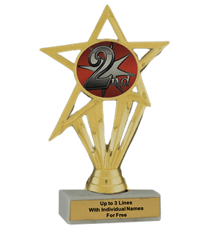 Budget 2nd Place Insert Trophy