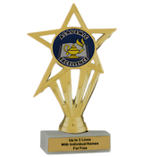 Budget Academic Excellence Insert Trophy