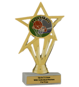 Budget Basketball Insert Trophy